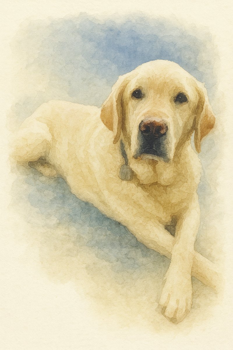 Watercolor portrait of a yellow Labrador lying down